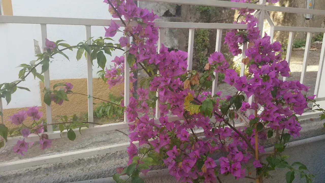 Holiday home Il Pergolato Villa Bari Sardo
